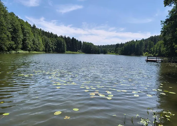 Dom Nad Jeziorem Hébergement de vacances *